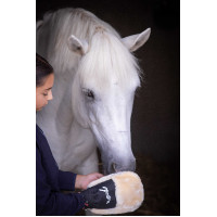 Guanto per la strigliatura Pénélope Nero