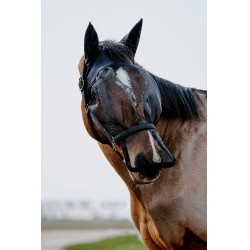 Capestro + maschera anti UV Equithème Nero