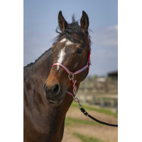 Capezzina Norton Nylon Soft Rosso