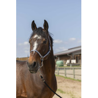 Capezzina Norton Nylon Soft Blu navy