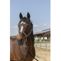 Capezzina Norton Nylon Soft Blu navy Capezzina Norton Nylon Soft Blu navy