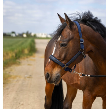 Capestro Equithème Nylon Strass