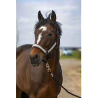 Capestro Equithème Nylon Check Marina / marrone Blu Capestro Equithème Nylon Check Marina / marrone Blu