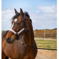 Capestro Equithème Nylon Check Nero / marrone Capestro Equithème Nylon Check Nero / marrone