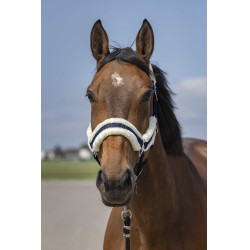 Capestro Equithème Nylon Montone Marino / bianco Blu