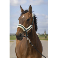 Capestro Equithème Nylon Montone Verde / bianco