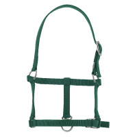 Cavezzone puledro Riding World Verde scuro Cavezzone puledro Riding World Verde scuro