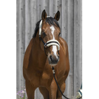 Capestro Riding World in montone sintetico Nero