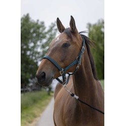 Capezzina Norton Satine