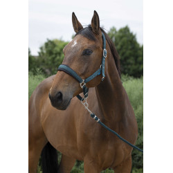 Capezza + lunghina Norton Large Verde scuro