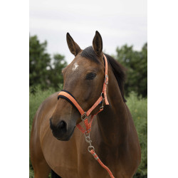 Capezza + lunghina Norton Large