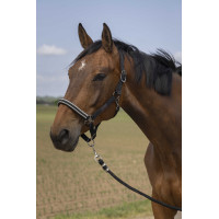 Capestro Equithème Nylon Chevron Nero