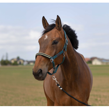 Capestro Equithème Nylon Chevron Verde scuro