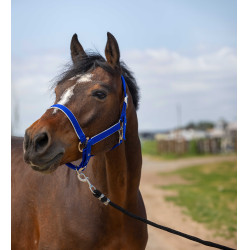 Capezzina Equithème Nylon light Blu reale