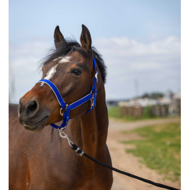 Capezzina Equithème Nylon light Blu reale