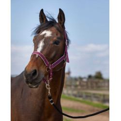 Capezzina Equithème Nylon light Bordeaux