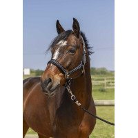 Capezza Norton 4lines Nero