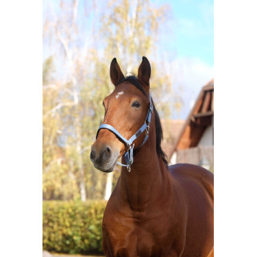 Capestro in nylon Spring Equithème Blu Capestro in nylon Spring Equithème Blu