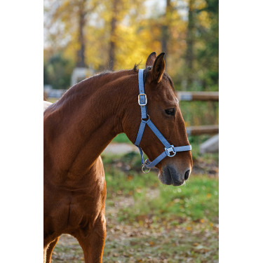 Capestro in nylon Spring Equithème Blu Capestro in nylon Spring Equithème Blu