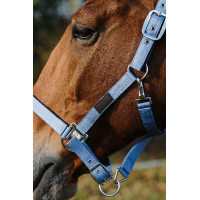 Capestro in nylon Spring Equithème Blu