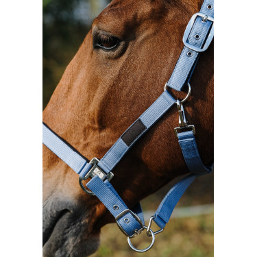 Capestro in nylon Spring Equithème Blu Capestro in nylon Spring Equithème Blu
