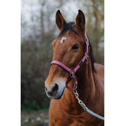 Capestro in nylon Spring Equithème Rosa