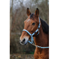 Capestro in nylon Spring Equithème Turchese Blu Capestro in nylon Spring Equithème Turchese Blu