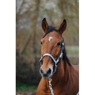 Capestro in nylon Spring Equithème Turchese Blu