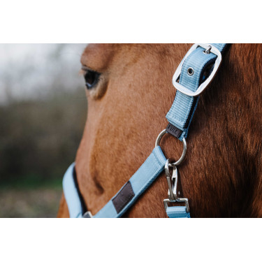 Capestro in nylon Spring Equithème Turchese Blu