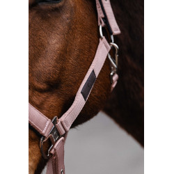Capestro in nylon Spring Equithème Rosa chiaro