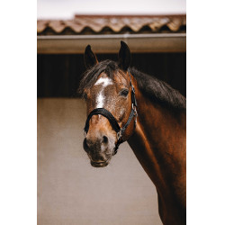 Capestro in nylon Equithème Jacquard