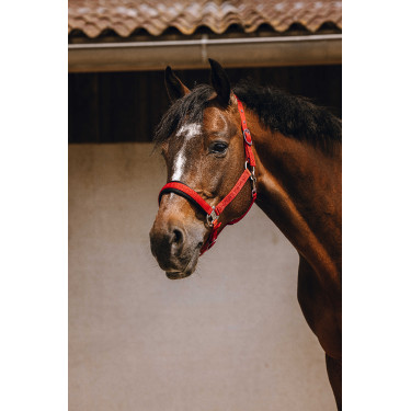 Capestro in nylon Equithème Jacquard Rosso