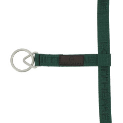 Capestro in nylon Equithème Jacquard Verde