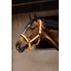 Capestro in nylon Equithème Jacquard Oro
