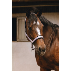 Capestro in nylon Equithème Jacquard Lilla Blu