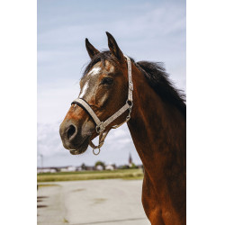 Capestro in nylon Equithème Jacquard Talpa Marrone Capestro in nylon Equithème Jacquard Talpa Marrone