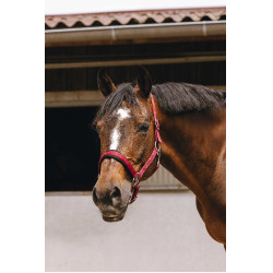 Capestro in nylon Equithème Jacquard Bordeaux
