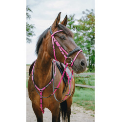 Briglia endurance Norton Pop
