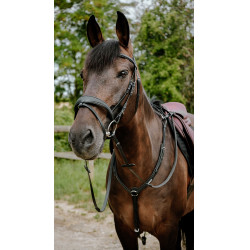 Briglia endurance Norton Pop