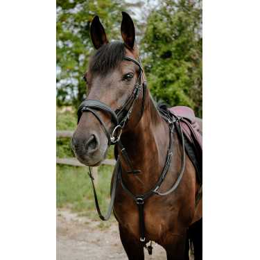 Briglia endurance Norton Pop