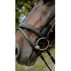 Briglia endurance Norton Pop