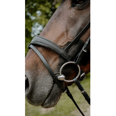 Briglia endurance Norton Pop