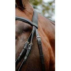 Briglia endurance Norton Pop