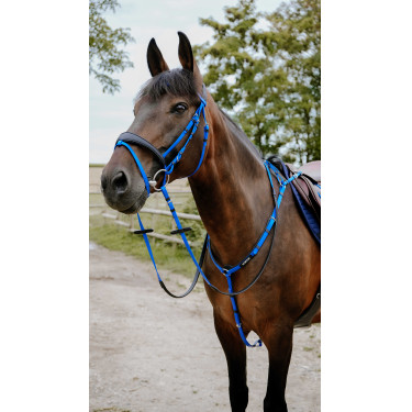 Briglia endurance Norton Pop