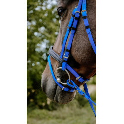 Briglia endurance Norton Pop