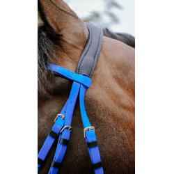 Briglia endurance Norton Pop