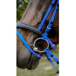 Briglia endurance Norton Pop
