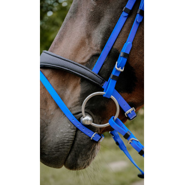 Briglia endurance Norton Pop