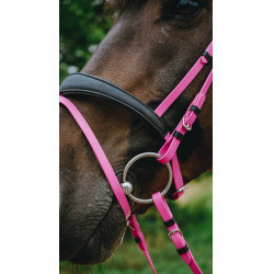 Briglia endurance Norton Pop