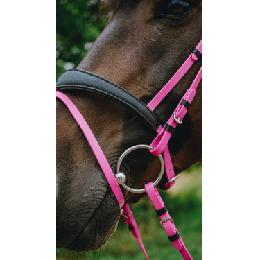 Briglia endurance Norton Pop